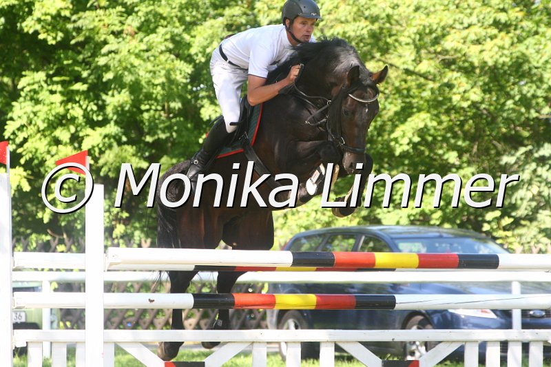 308M1676_Quiz_Spring Mxx.JPG